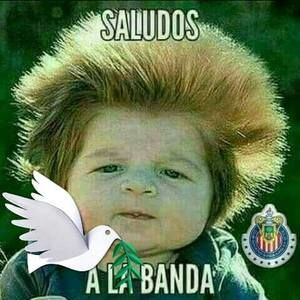 Meet your Posher, Jorge